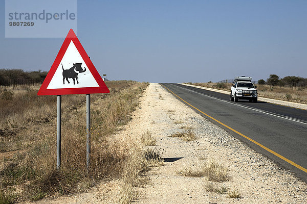 Warnschild  Achtung Warzenschweine  Straße B1  bei Tsumen  Namibia  Afrika