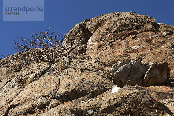 Felsen bei C39 zwischen Khorixas und Bersig  Region Kunene  Namibia  Afrika