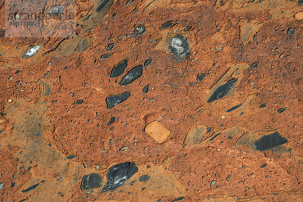 Steine  Steineinschlüsse  Nähe versteinerter Wald  Region Kunene  Namibia  Afrika