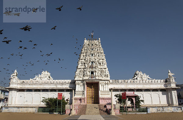 Shri Rama Vaikunth Tempel  Pushkar  Rajasthan  Indien  Asien