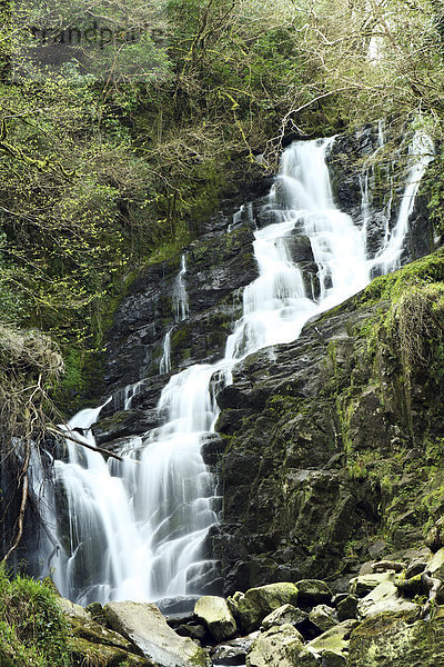 Torc Wasserfall  Ring of Kerry  County Kerry  Irland  Europa