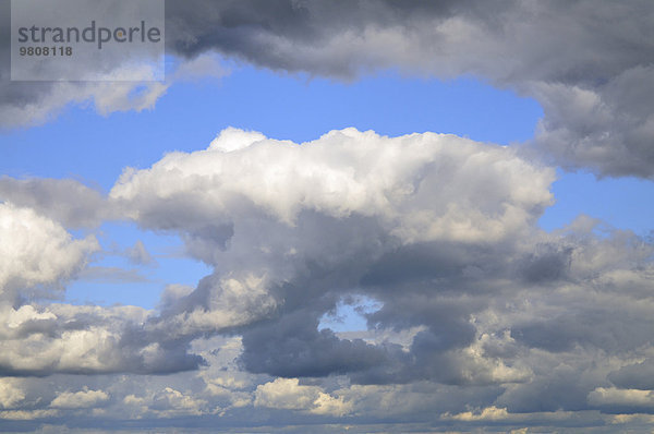 Wolkenformation kurz vor einem Gewitter  Brandenburg  Deutschland  Europa