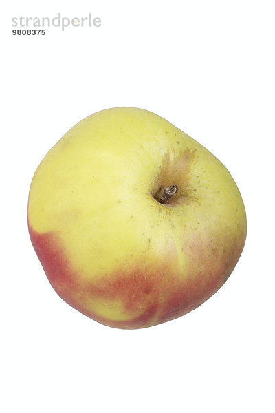 Apfelsorte Lausitzer Nelkenapfel