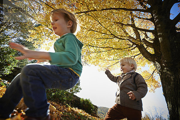 Zwei Jungen  die im Wald rennen