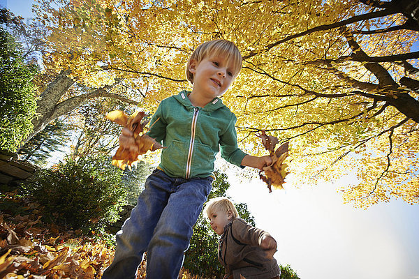 Zwei Jungen  die im Wald spielen und Blätter sammeln.