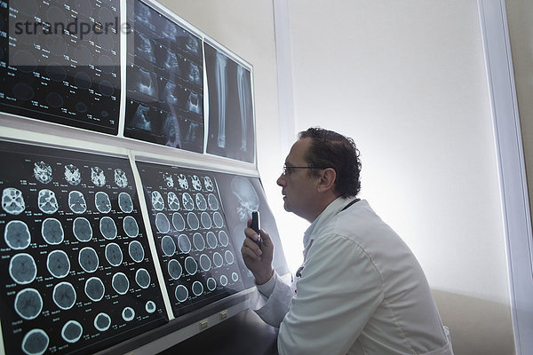 Arzt starrt auf Scans des Gehirns auf dem Leuchtkasten
