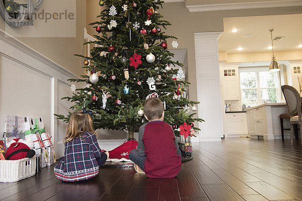 Rückansicht der Geschwister vor dem Weihnachtsbaum