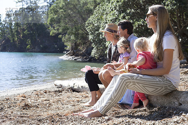 Familienfreunde sitzen auf einem Baumstamm am Strand  Neuseeland