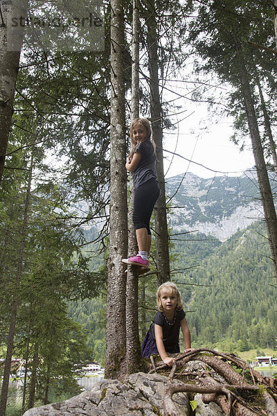 Schwestern beim Baumklettern im Wald  Hintersee  Zauberwald  Bayern  Deutschland