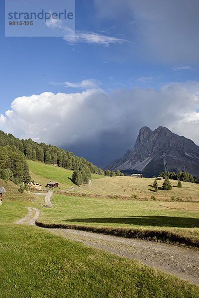 Schotterpiste und ferne Berge  Dolomiten  Plose  Südtirol  Italien
