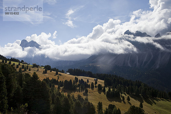 Blick auf niedrige Wolken über Berge  Dolomiten  Plose  Südtirol  Italien