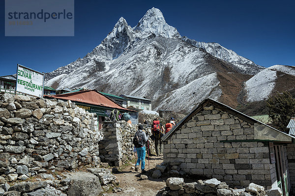 Nepal  Khumbu  Everest Region  Pangboche  Wanderer auf dem Everest Trail mit Ama Dablam
