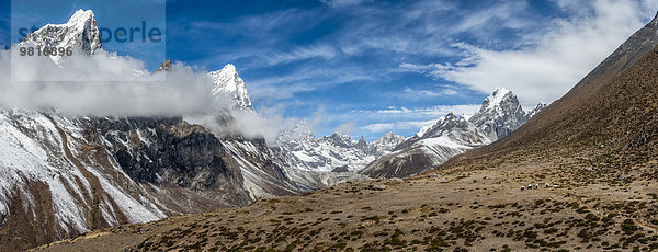 Nepal  Khumbu  Everest-Region  Dughla  Yaks mit Lasten  Lobuche Spitze  Arakam Tse Spitze  Cholatse Spitze