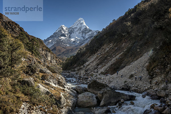 Nepal  Khumbu  Everest Region  Pangboche  Trekker und Yaks auf dem Everest Trail mit Ama Dablam