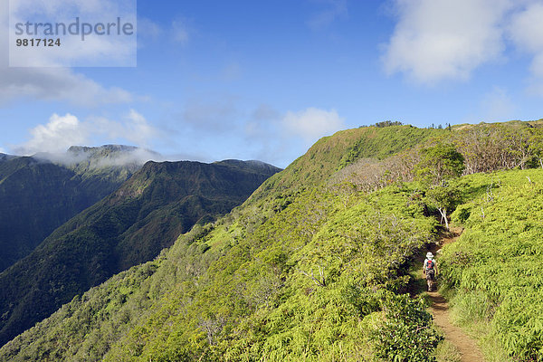 USA  Hawaii  Maui  Frau beim Wandern auf dem Waihee Ridge Trail