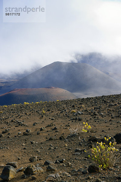 USA  Hawaii  Maui  Haleakala  Wolken im Vulkankrater