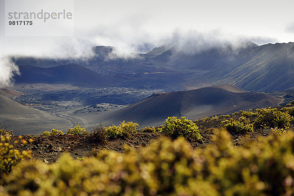 USA  Hawaii  Maui  Haleakala  Vulkanlandschaft mit Schlackenkegeln
