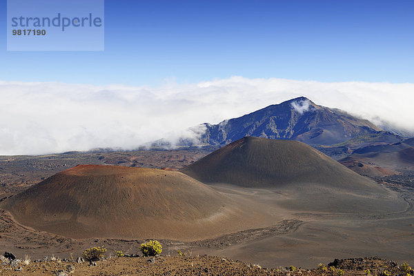 USA  Hawaii  Maui  Haleakala  Vulkanlandschaft mit Schlackenkegeln