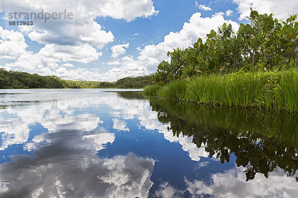 Ecuador  Amazonasgebiet  Pilchicochasee