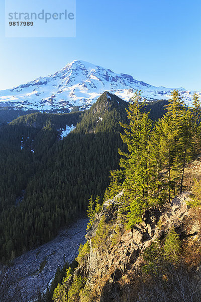 USA  Washington  Berg Rainier