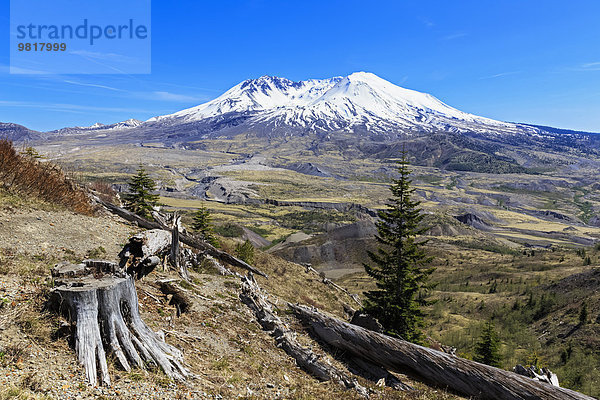 USA  Washington  Mount St. Helens vom Johnston Ridge Observatorium aus gesehen und Schäden in der Landschaft durch Eruption.