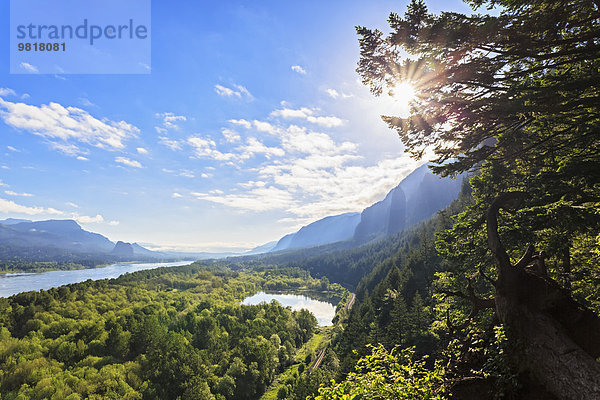 USA  Oregon  Columbia River Gorge  Multnomah County  Blick auf den Columbia River