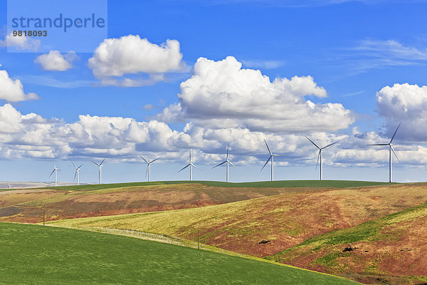 USA  Idaho  Palouse  Windpark  Getreidefelder