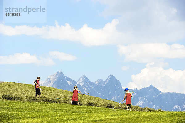 Österreich  Flachau  drei Kinder bei der Heuernte