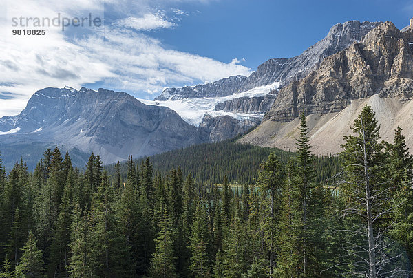 Kanada  British Columbia  Banff National Park  Blick von Icefields Parkway
