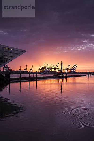 Deutschland  Hamburg  Altona  Bürogebäude Dockland bei Sonnenuntergang  Hafen Hamburg mit Hafenkranen im Hintergrund