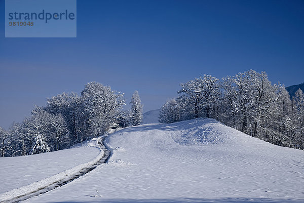 Deutschland  Kochel am See  verschneite Winterlandschaft