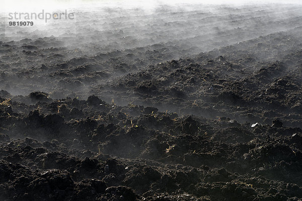 Deutschland  Koenigsdorf  Nebel über Feld im Herbst