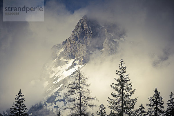 Österreich  Salzburger Land  Maria Alm  Berg im Nebel