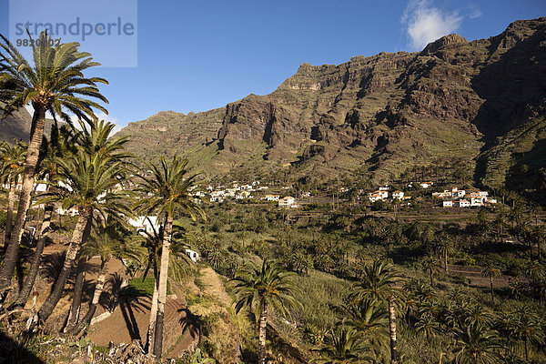 Spanien  Kanarische Inseln  La Gomera  Valle Gran Rey  Blick auf Bergdorf und Palmen und Terrassenfelder