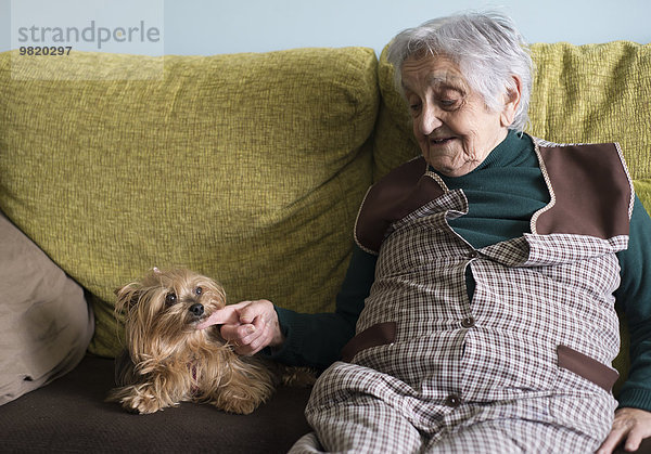 Alte Frau beim Streicheln eines Yorkshire Terriers