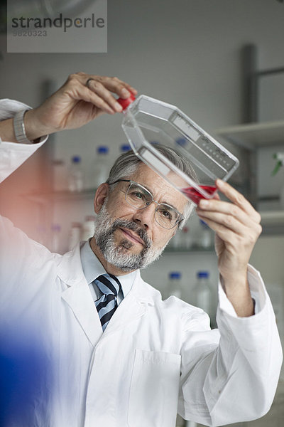 Wissenschaftler untersucht Flüssigkeit im Labor