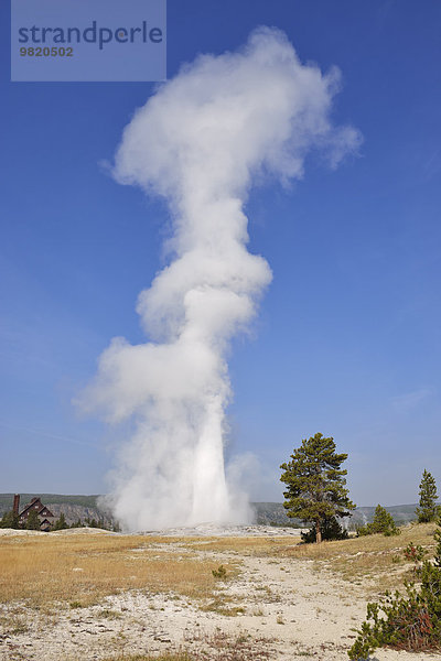 USA  Wyoming  Yellowstone Nationalpark  Old Faithful Geysir Ausbruch
