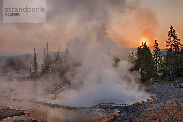 USA  Wyoming  Yellowstone National Park  Dampf aus dem Firehole Spring bei Sonnenaufgang