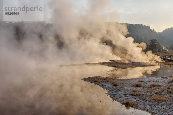 USA  Wyoming  Yellowstone Nationalpark  steigender Dampf am Firehole Lake