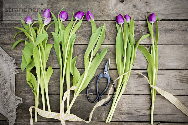 Tulpen auf dunklem Holz  Schere  Band und Jute