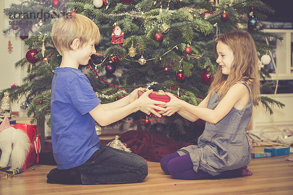 Junge macht seiner kleinen Schwester ein Weihnachtsgeschenk
