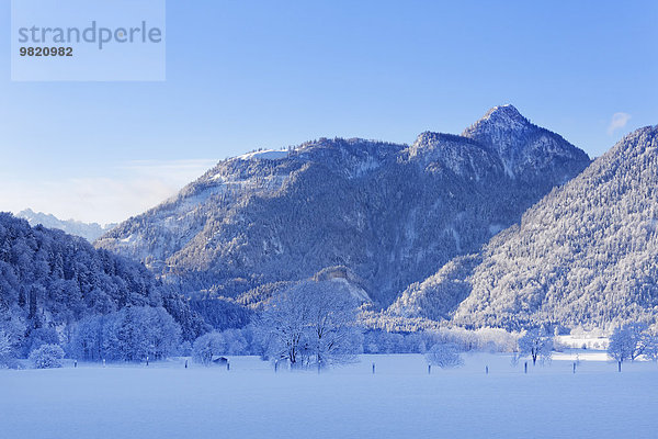 Deutschland  Bayern  Oberbayern  Chiemgau  Chiemgauer Alpen  Blick auf den Berg Rudersburg am Vormittag