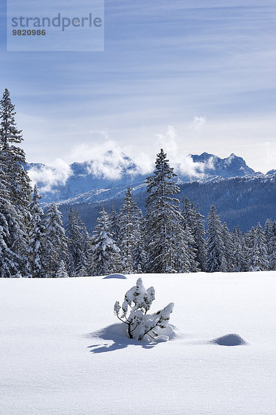 Deutschland  schneebedeckte Winklmoosalm mit Loferer Steinberge im Hintergrund