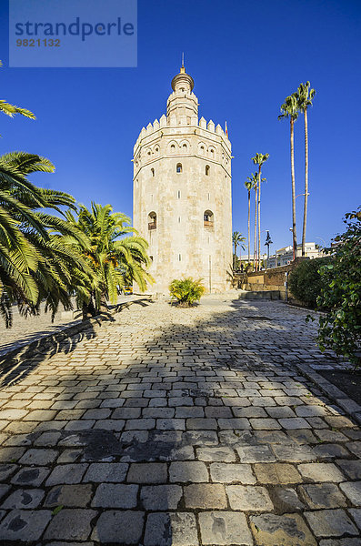 Spanien  Andalusien  Sevilla  Torre del Oro