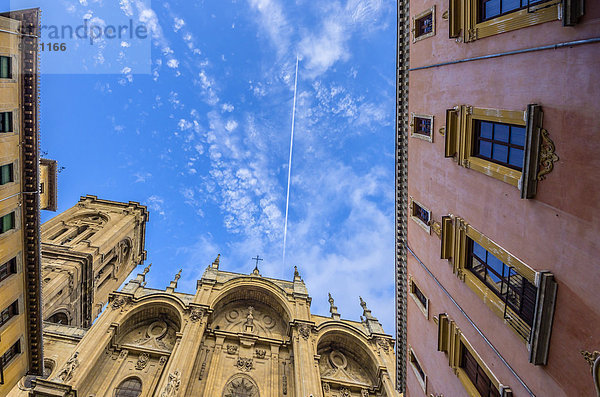 Spanien  Andalusien  Granada  Granada Catedral und Contrail