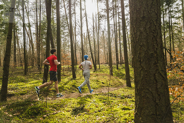 Zwei junge Männer joggen auf dem Waldweg