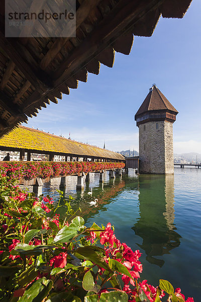 Schweiz  Kanton Luzern  Luzern  Reuss  Kapellbrücke und Wasserturm