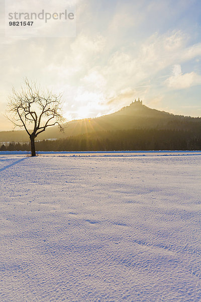 Deutschland  Baden-Württemberg  Blick auf die Burg Hohenzollern im Winter gegen die Morgensonne