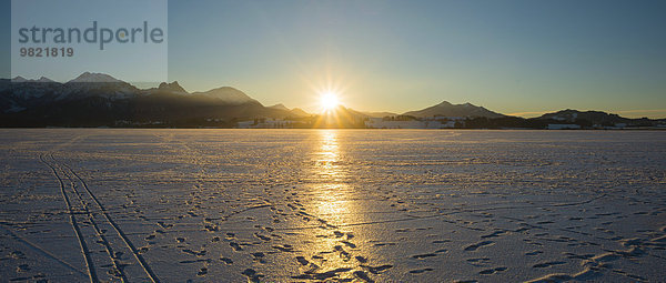 Deutschland  Ostallgäu  bei Füssen  Hopfensee im Winter gegen die Abendsonne