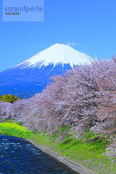 Japan Shizuoka Präfektur